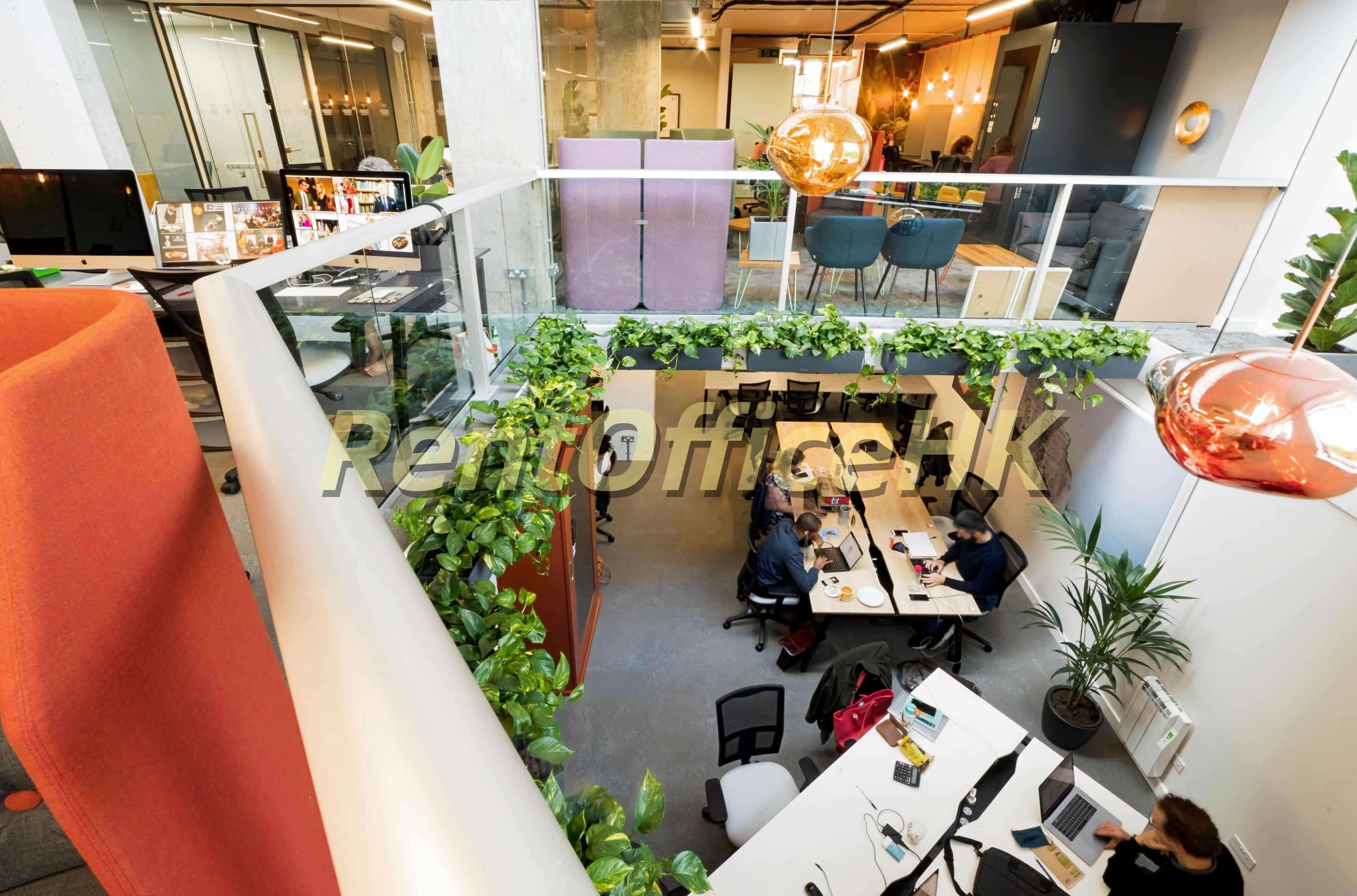 家庭作業 南菲爾德